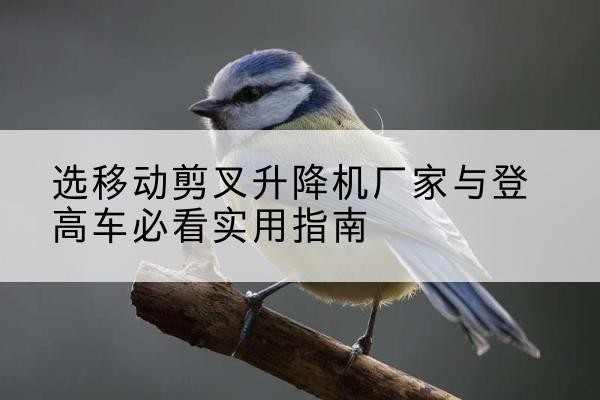 惠水电动升降机厂家-选移动剪叉升降机厂家与登高车必看实用指南