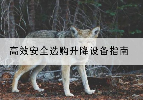 惠水升降货梯厂家推荐-*安全选购升降设备指南