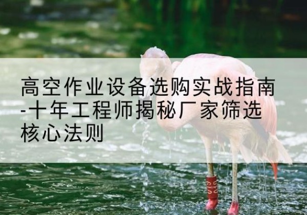 惠水剪叉式升降机厂家-高空作业设备选购实战指南-十年工程师揭秘厂家筛选核心法则